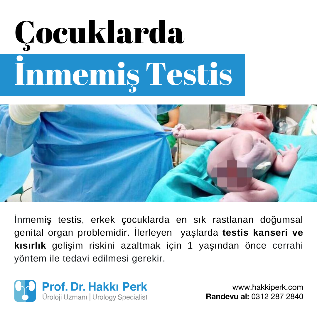 İnmemiş Testis