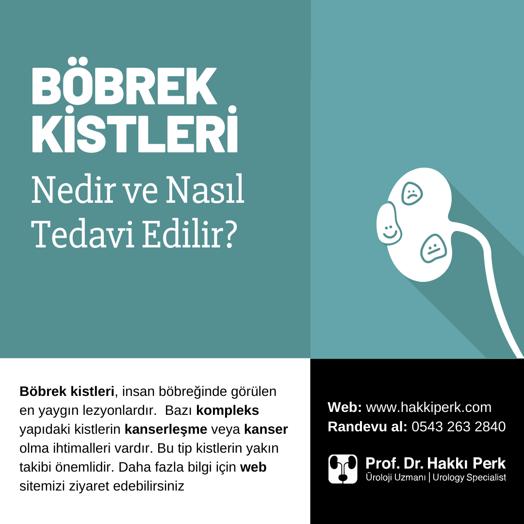 Böbrek Kisti