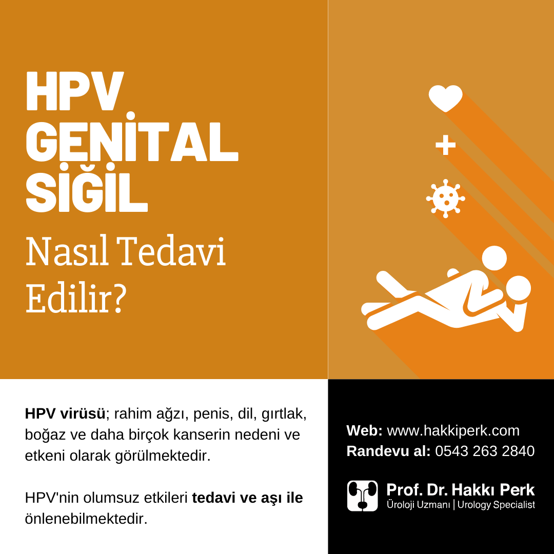 HPV, Genital Siğil, Kondilom Hakkında Herşey