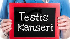 Testis Kanseri