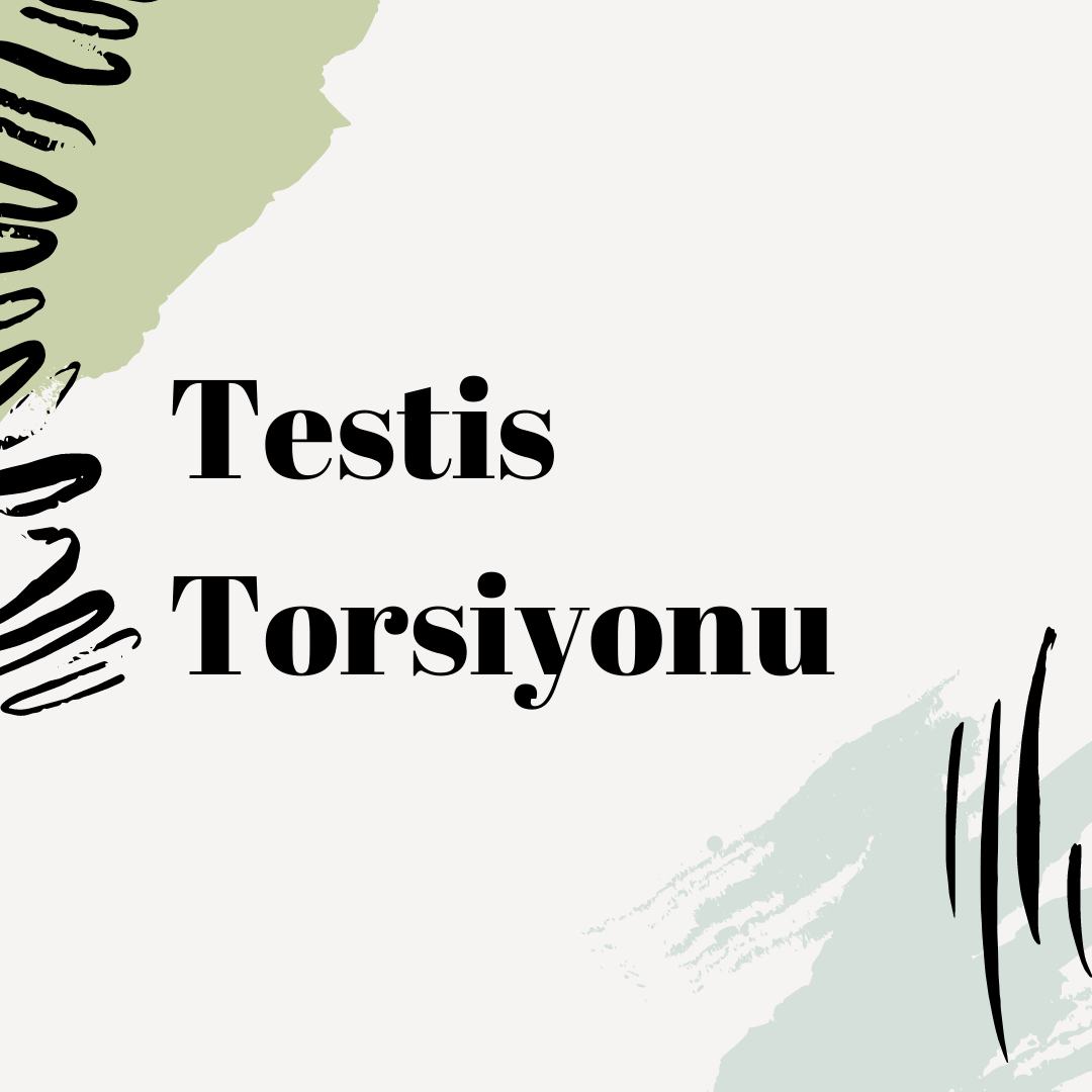 Testis Torsiyonu