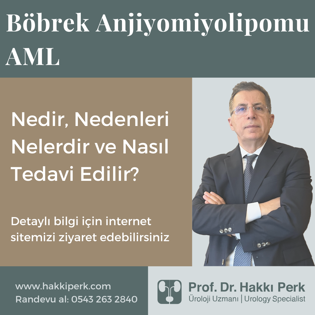 Böbrek anjiyomiyolipomu-AML